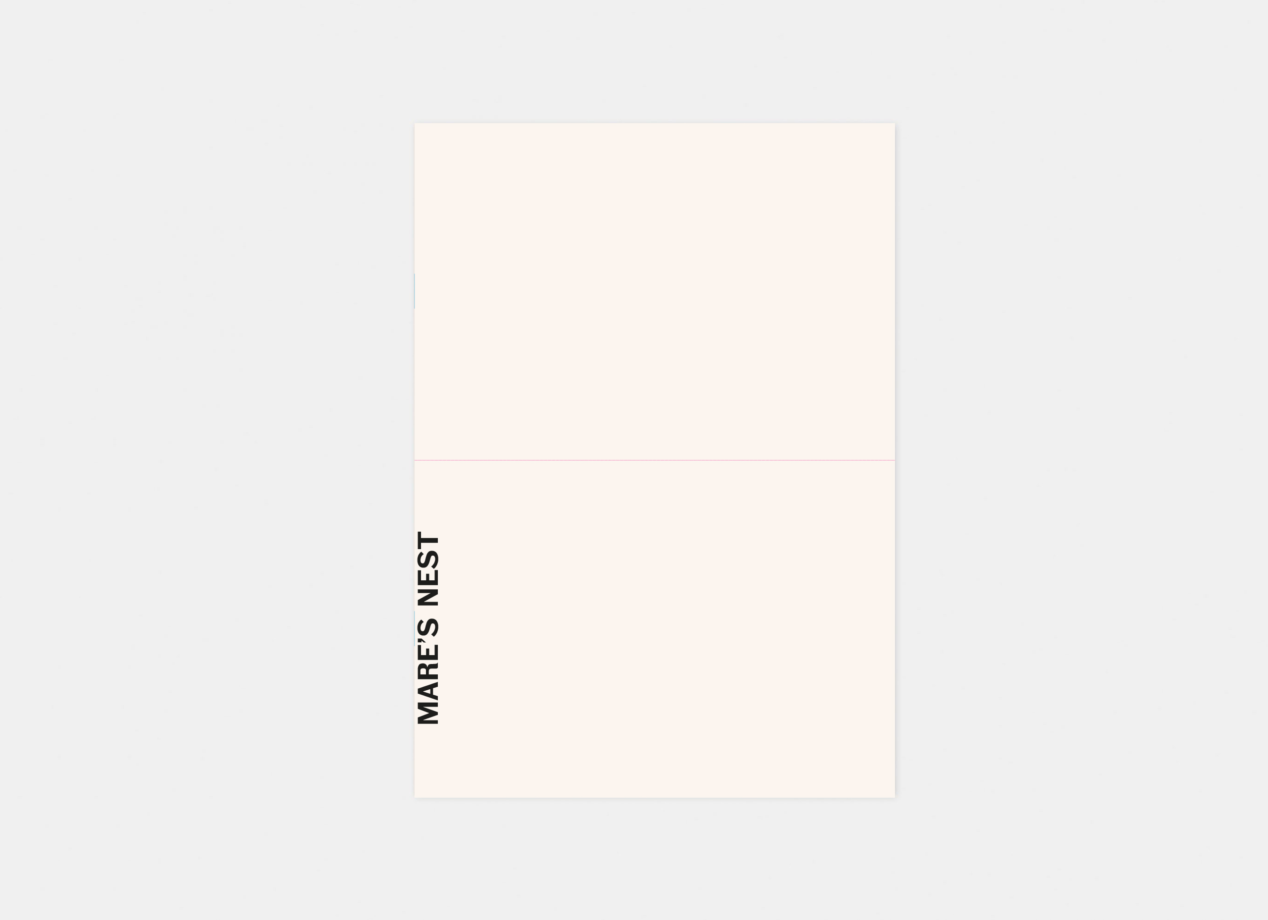 Publication MARE'S NEST Cover