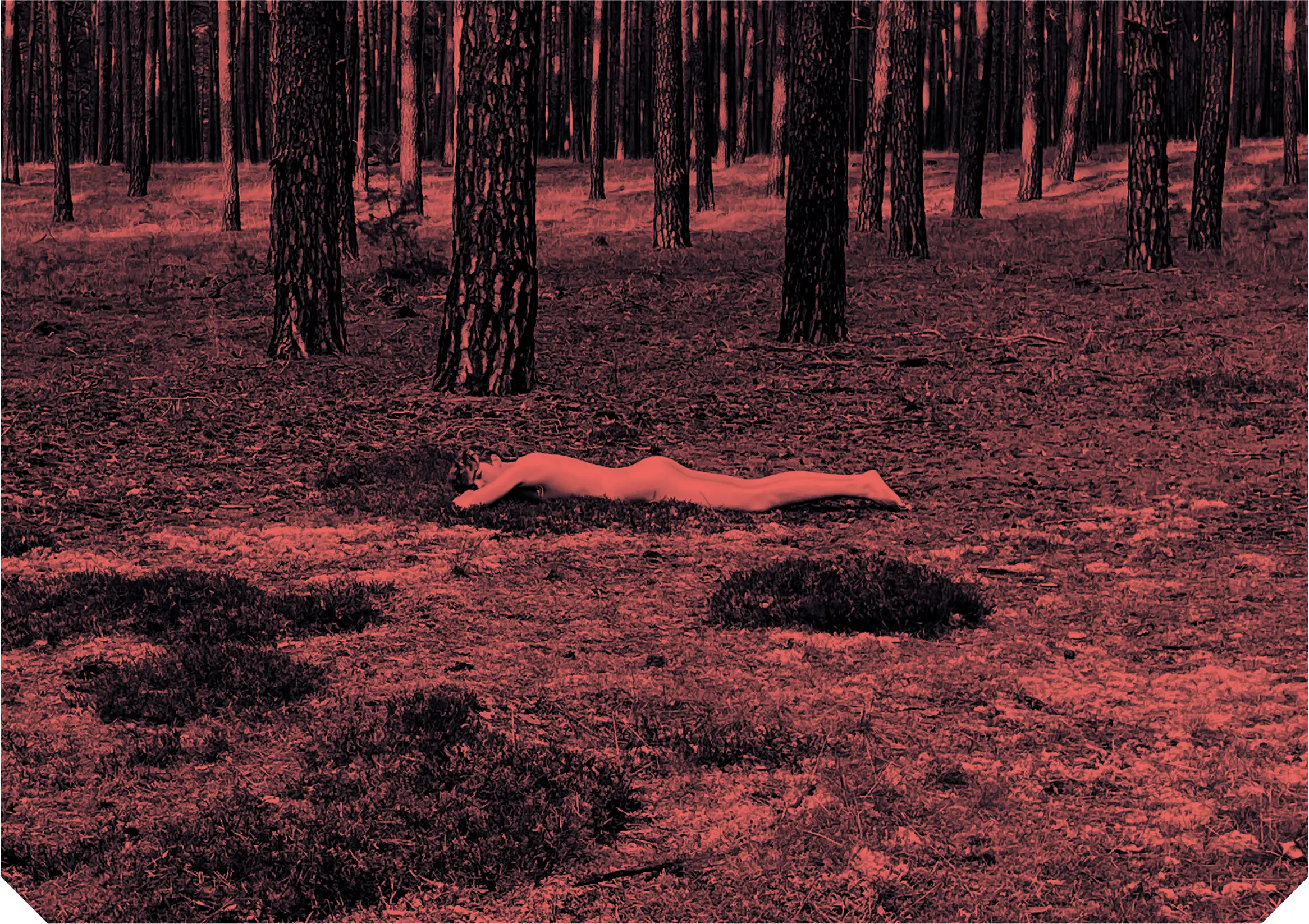 Detailbild Un peu beaucoup (flamingo)