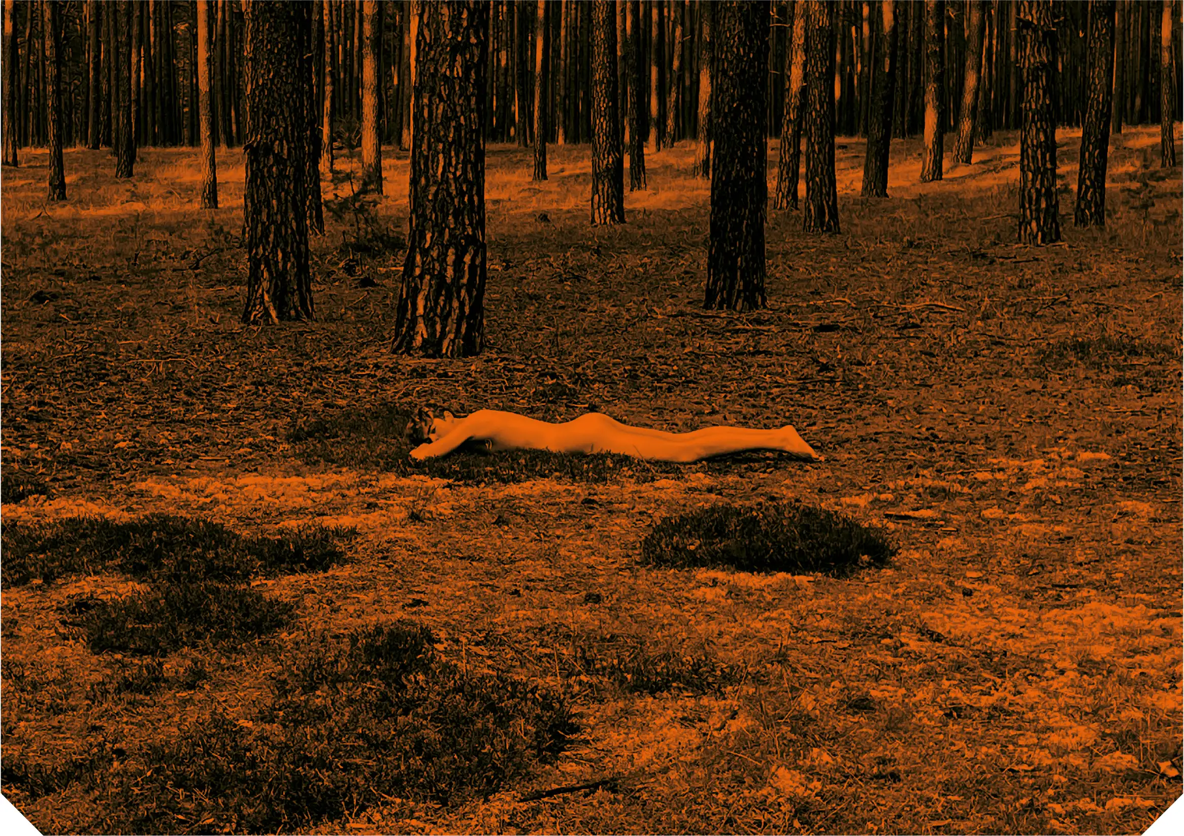 Detailbild Un peu beaucoup (arancia)