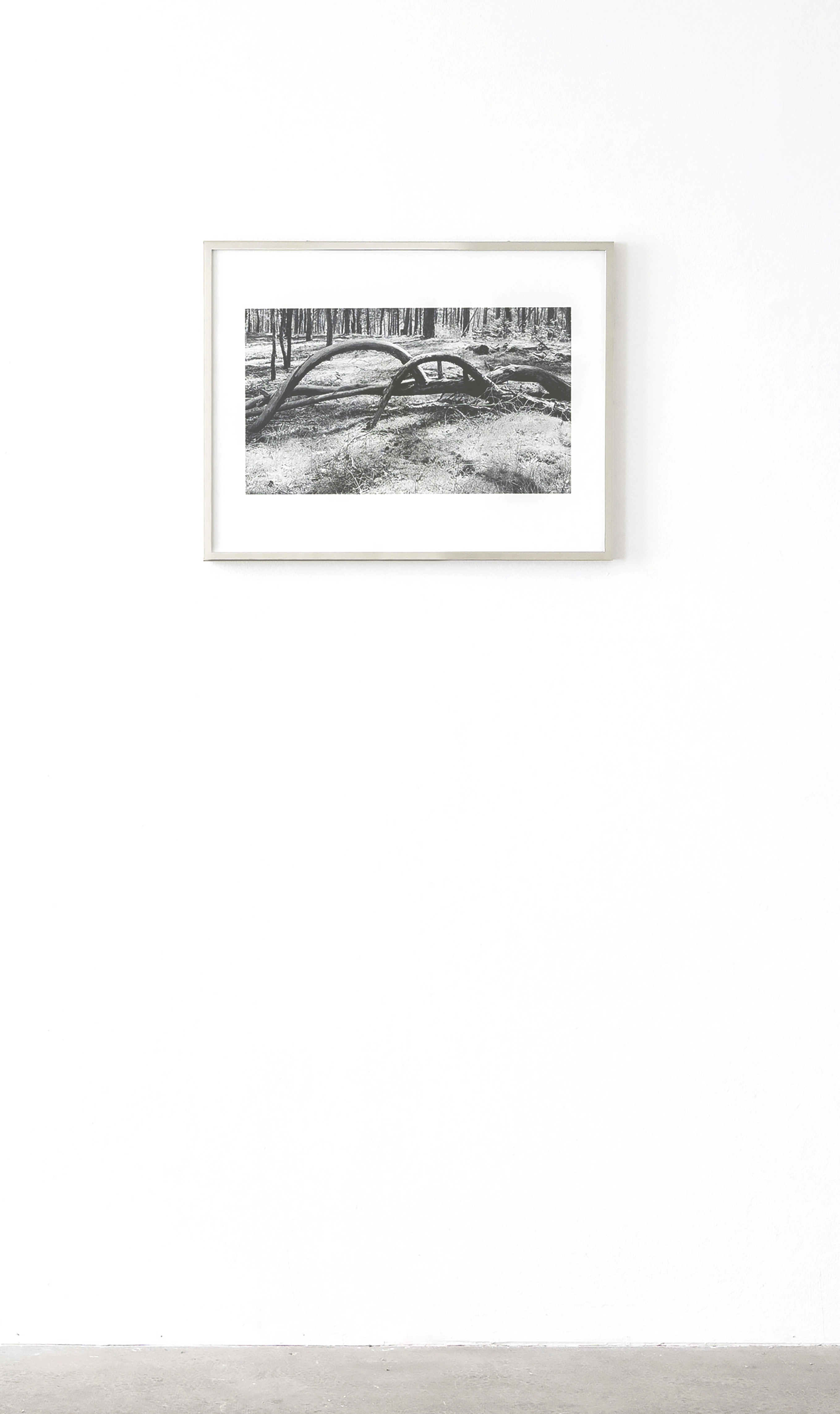 Detailbild UNINTERESTED