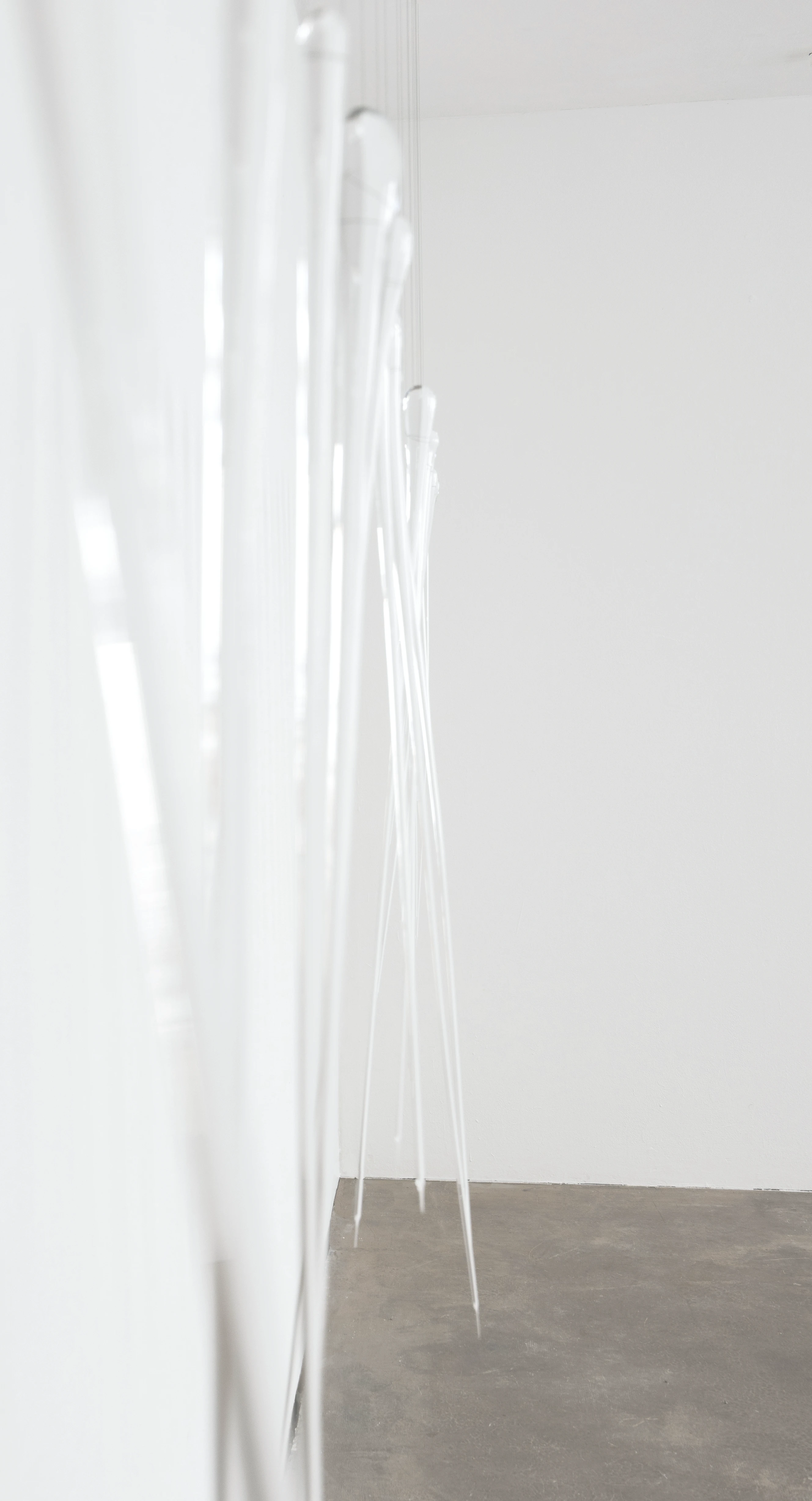 Detailbild Continuous Interest