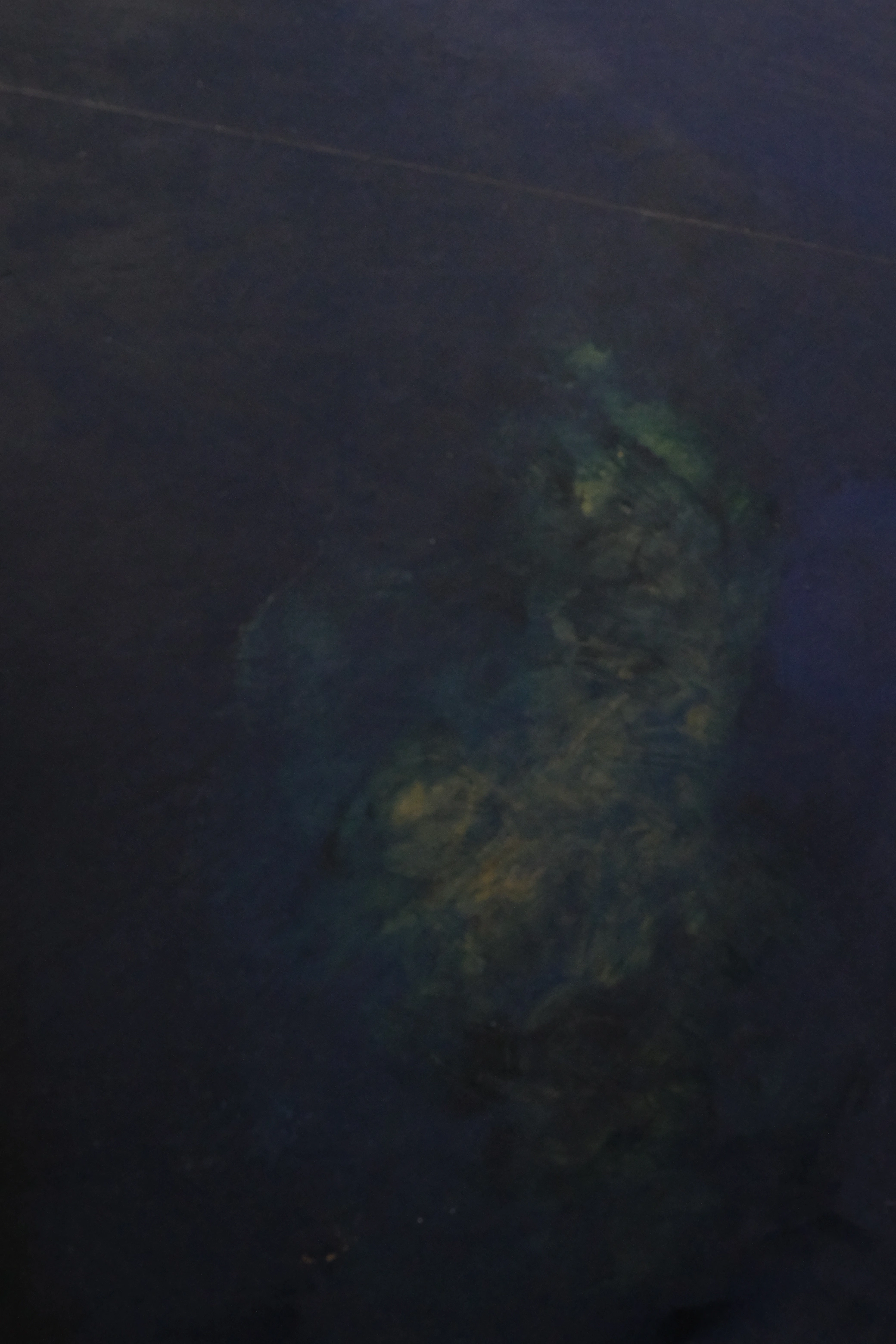 Detailbild Tony Just - Untitled