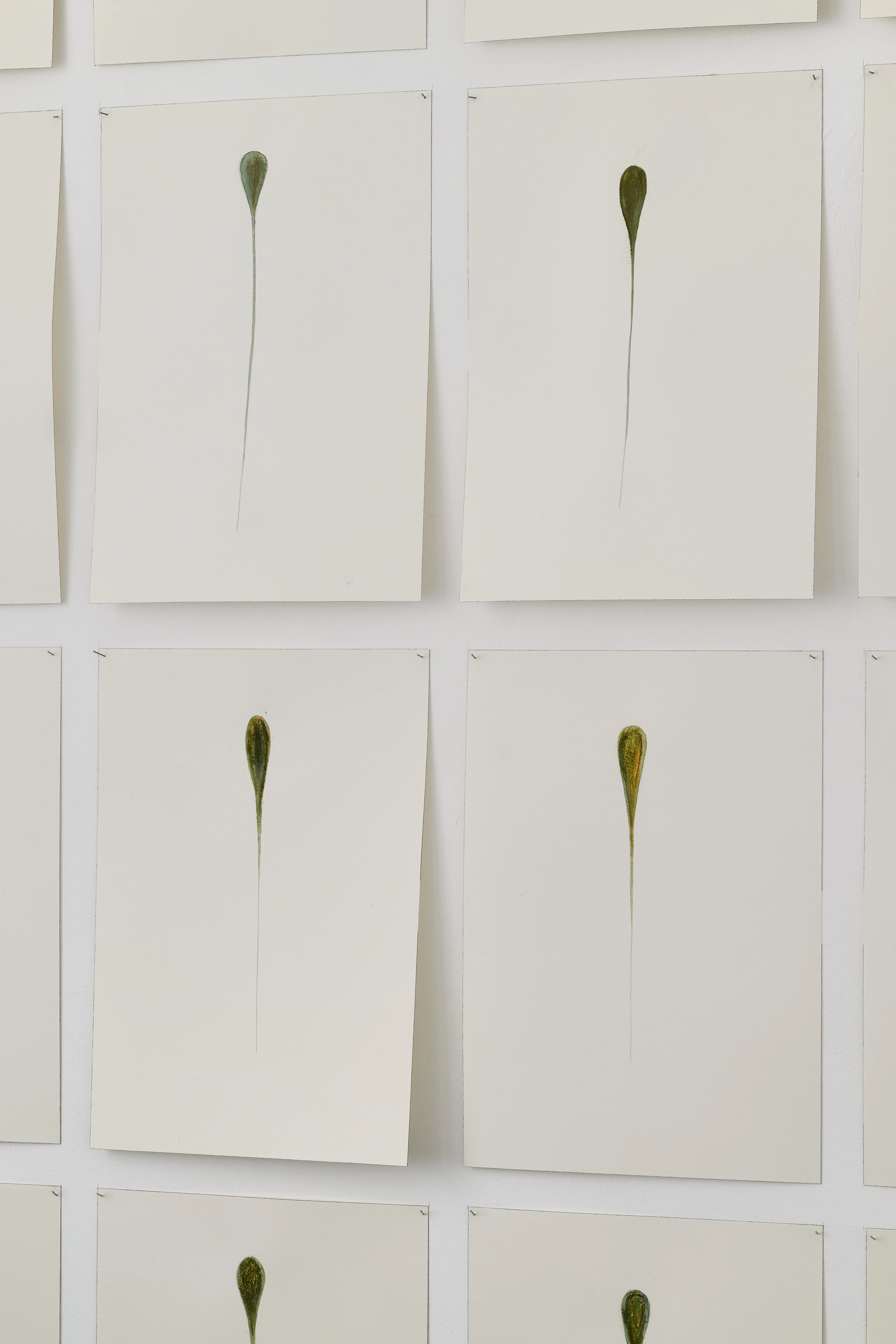 Detailbild STUDY FOR ACAPULCO & ACAPULCO